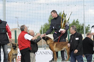 Remise des Prix 211.JPG - CHIENPLUS.COM